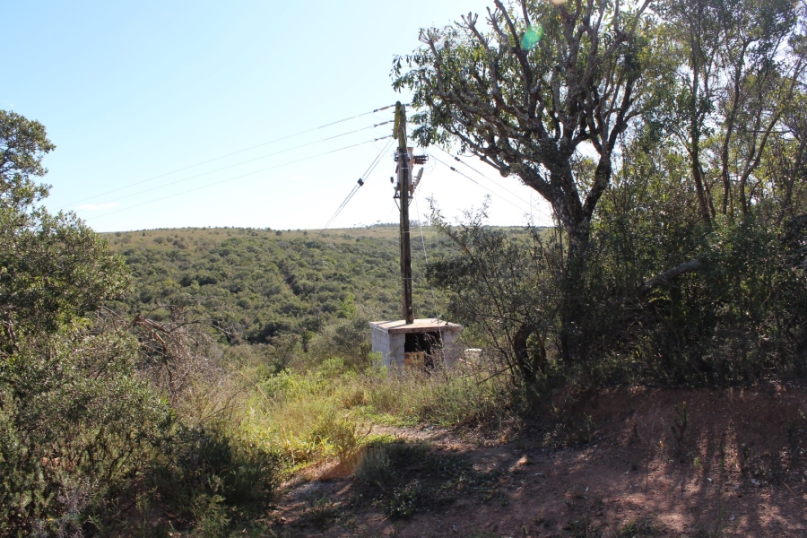 3 Bedroom Property for Sale in Bathurst Eastern Cape